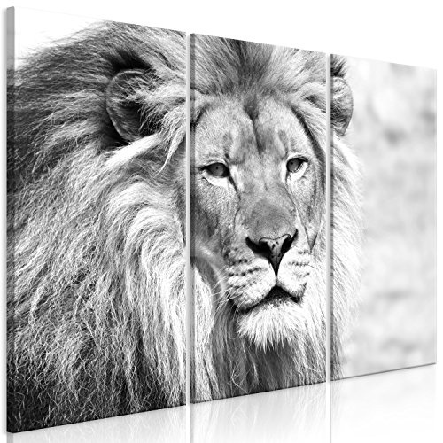 murando - Bilder Löwe 90x60 cm Vlies Leinwandbild 3 Teilig Kunstdruck modern Wandbilder XXL Wanddekoration Design Wand Bild - schwarz weiß Tiere g-B-0075-b-g