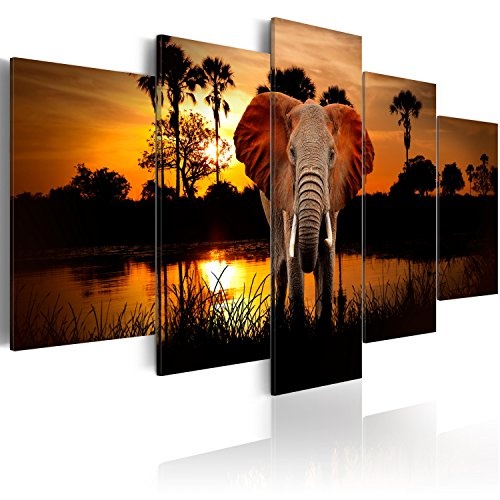 murando - Bilder 225x112 cm Vlies Leinwandbild 5 TLG Kunstdruck modern Wandbilder XXL Wanddekoration Design Wand Bild - Landschaft Afrika Tier Elefant g-C-0024-b-m