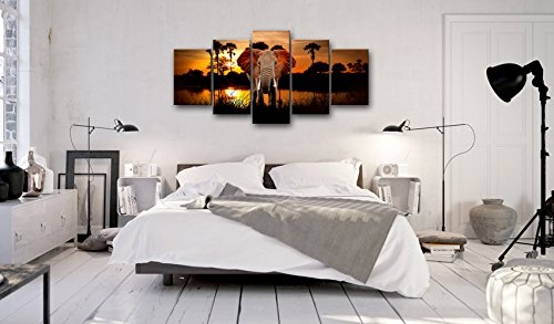 murando - Bilder 225x112 cm Vlies Leinwandbild 5 TLG Kunstdruck modern Wandbilder XXL Wanddekoration Design Wand Bild - Landschaft Afrika Tier Elefant g-C-0024-b-m