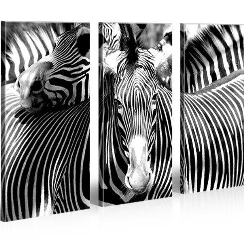 islandburner Bild Bilder auf Leinwand Zebra Tiere Zebras XXL Poster Leinwandbild Wandbild Dekoartikel Wohnzimmer Marke