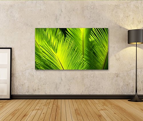 islandburner Bild Bilder auf Leinwand Grüne Palmen Blätter im Wind. Wandbild Leinwandbild Poster DAS