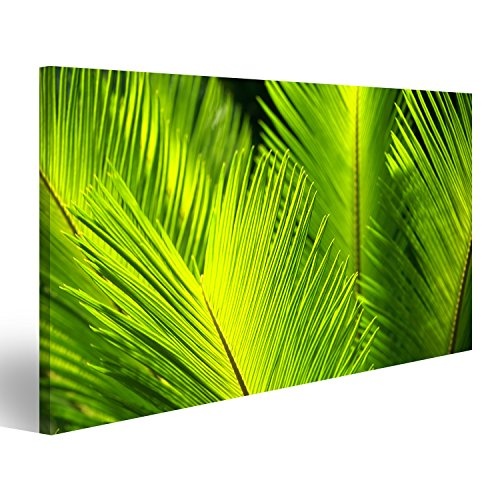 islandburner Bild Bilder auf Leinwand Grüne Palmen Blätter im Wind. Wandbild Leinwandbild Poster DAS
