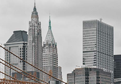 murando - Fototapete New York 400x280 cm - Vlies Tapete - Moderne Wanddeko - Design Tapete - Wandtapete - Wand Dekoration - Brooklyn Bridge Manhattan d-B-0259-a-b