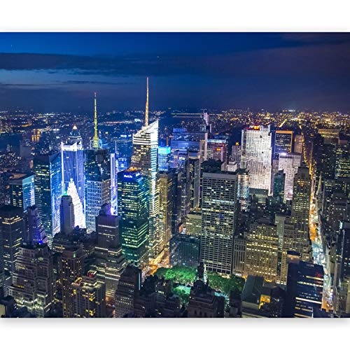 murando - Fototapete 250x193 cm - Vlies Tapete - Moderne Wanddeko - Design Tapete - Wandtapete - Wand Dekoration - New York 100404-141