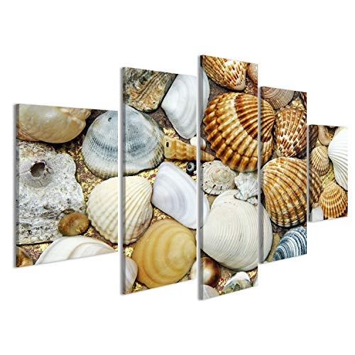islandburner Bild Bilder auf Leinwand Hintergrund aus Einer Nahaufnahme von Einem Haufen von Muscheln auf dem Sand Wandbild, Poster, Leinwandbild EAZ