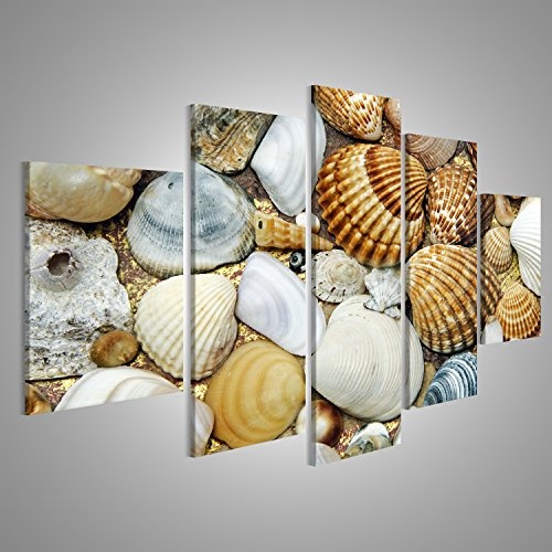 islandburner Bild Bilder auf Leinwand Hintergrund aus Einer Nahaufnahme von Einem Haufen von Muscheln auf dem Sand Wandbild, Poster, Leinwandbild EAZ