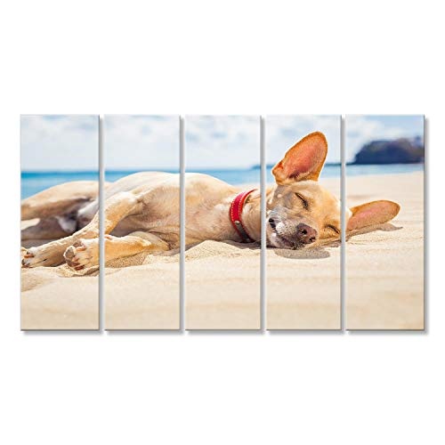 islandburner Bild Bilder auf Leinwand Chihuahua Hund entspannend und ruht, liegend auf dem Sand am Strand auf Sommerferien Urlaub, Ozean Ufer hinter Wandbild, Poster, Leinwandbild ESN