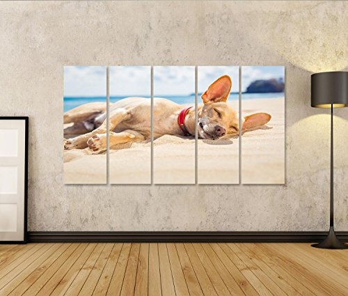 islandburner Bild Bilder auf Leinwand Chihuahua Hund entspannend und ruht, liegend auf dem Sand am Strand auf Sommerferien Urlaub, Ozean Ufer hinter Wandbild, Poster, Leinwandbild ESN