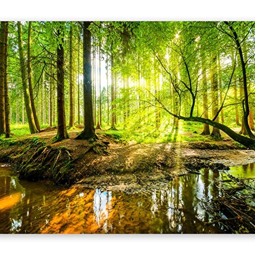 murando - Fototapete Wald 250x175 cm - Vlies Tapete - Moderne Wanddeko - Design Tapete - Wandtapete - Wand Dekoration - Natur Baum grün Landschaft Sonne c-B-0241-a-a