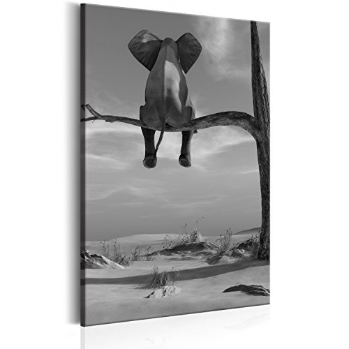 murando - Bilder 40x60 cm Vlies Leinwandbild 1 TLG Kunstdruck modern Wandbilder XXL Wanddekoration Design Wand Bild - Elefant Baum Wüste Tier Natur für Kinder g-B-0033-b-c