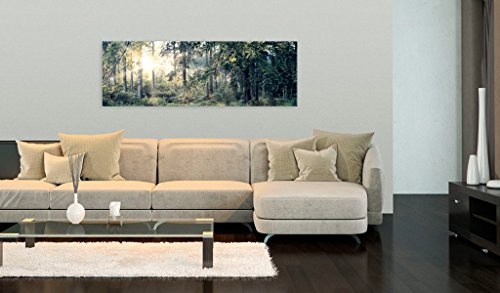 murando - Bilder 120x40 cm Vlies Leinwandbild 1 TLG Kunstdruck modern Wandbilder XXL Wanddekoration Design Wand Bild - Landschaft Natur Wald Bäume c-C-0032-b-d