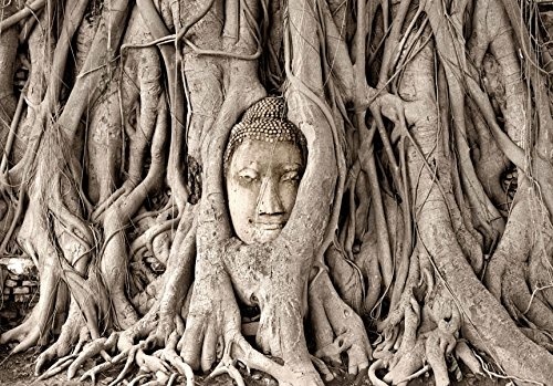 murando - Fototapete 400x280 cm - Vlies Tapete - Moderne Wanddeko - Design Tapete - Wandtapete - Wand Dekoration - Buddha Bäume h-B-0061-a-a