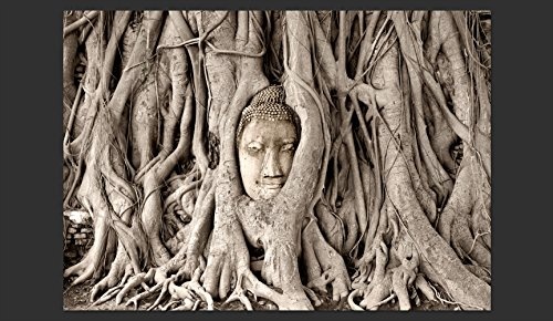 murando - Fototapete 400x280 cm - Vlies Tapete - Moderne Wanddeko - Design Tapete - Wandtapete - Wand Dekoration - Buddha Bäume h-B-0061-a-a