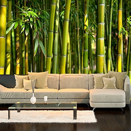 murando - Fototapete 350x256 cm - Vlies Tapete - Moderne Wanddeko - Design Tapete - Wandtapete - Wand Dekoration - Bambus Baum Bäume Bambusweld Natur Wald grün Asien Asia b-B-0072-a-b