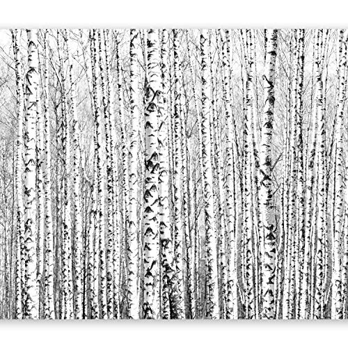 murando - Fototapete Baum 350x256 cm - Vlies Tapete - Moderne Wanddeko - Design Tapete - Wandtapete - Wand Dekoration - Birke Wald Landschaft Natur schwarz weiß c-A-0016-a-a
