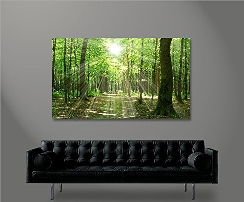 islandburner Bild Bilder auf Leinwand Sonnenstrahlen im Wald Bäume Spaziergang 1p XXL Poster Leinwandbild Wandbild Dekoartikel Wohnzimmer Marke