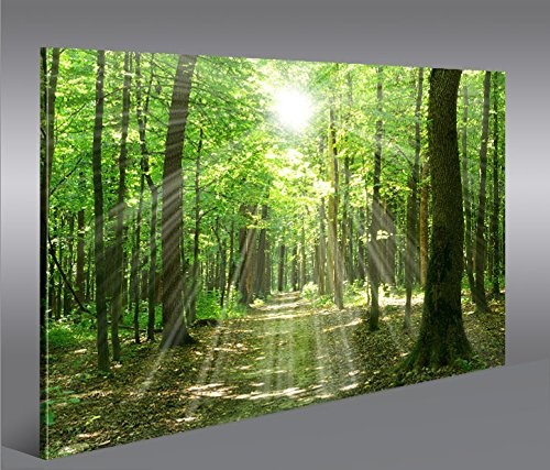 islandburner Bild Bilder auf Leinwand Sonnenstrahlen im Wald Bäume Spaziergang 1p XXL Poster Leinwandbild Wandbild Dekoartikel Wohnzimmer Marke