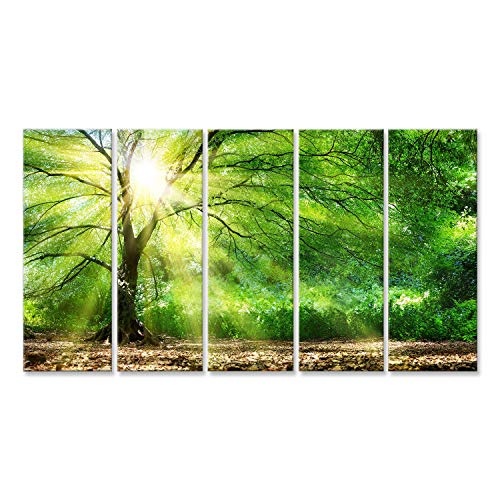islandburner Bild Bilder auf Leinwand wunderschöner Baum mit Sonnenschein im Wald Wandbild Leinwandbild Poster DWT