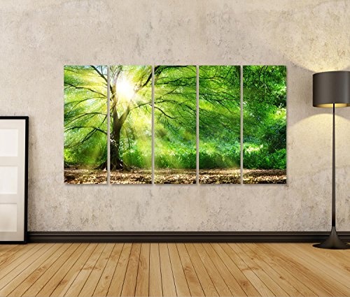 islandburner Bild Bilder auf Leinwand wunderschöner Baum mit Sonnenschein im Wald Wandbild Leinwandbild Poster DWT