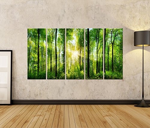 islandburner Bild Bilder auf Leinwand grüner Wald mit Bäumen und Sonnenlicht Poster, Leinwandbild, Wandbilder