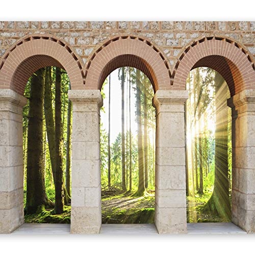 murando - Fototapete 300x210 cm - Vlies Tapete - Moderne Wanddeko - Design Tapete - Wandtapete - Wand Dekoration - Natur Landschaft Wald See Strand Bäume City Stadt b-C-0126-a-d