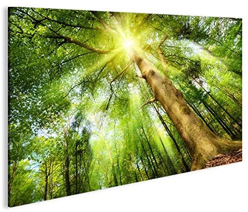 islandburner Bild Bilder auf Leinwand Leuchtender Wald Sonne Bäume 1K XXL Poster Leinwandbild Wandbild Dekoartikel Wohnzimmer Marke