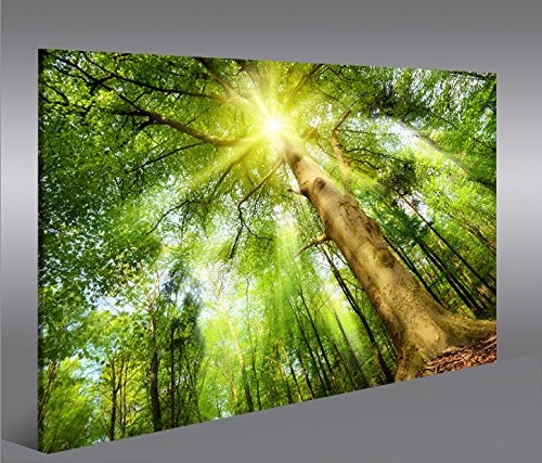 islandburner Bild Bilder auf Leinwand Leuchtender Wald Sonne Bäume 1K XXL Poster Leinwandbild Wandbild Dekoartikel Wohnzimmer Marke