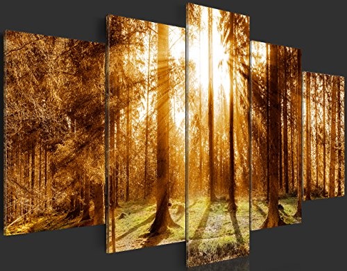 murando - Bilder 225x112 cm Vlies Leinwandbild 5 TLG Kunstdruck modern Wandbilder XXL Wanddekoration Design Wand Bild - Wald Baum Natur Landschaft c-B-0114-b-o