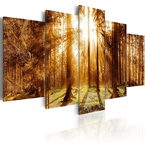 murando - Bilder 225x112 cm Vlies Leinwandbild 5 TLG Kunstdruck modern Wandbilder XXL Wanddekoration Design Wand Bild - Wald Baum Natur Landschaft c-B-0114-b-o