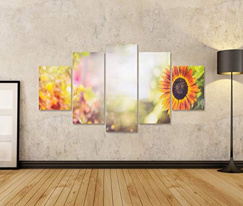 Bild Bilder auf Leinwand Sonnenblume und Laub über dem Garten- oder Parkhintergrund. Sommer Outdoor Natur Hintergrund, Banner Wandbild, Poster, Leinwandbild QNZ