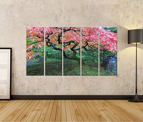 Bild auf Leinwand Alter Roter Spitzenblatt-Ahornbaum im Japanischen Garten in Portland Oregon im Herbst Wandbild Leinwandbild Kunstdruck Poster 170x80cm - 5 Teile XXL