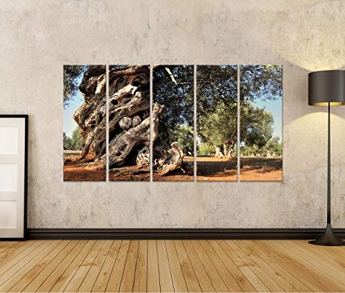 Bild auf Leinwand Alter Olivenbaum im Garten Wandbild...