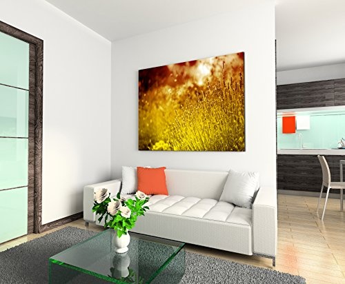 120x80cm Wandbild - Farbe Orange Gelb - Leinwandbild auf Keilrahmen in bester Qualität - Lavendel im Garten