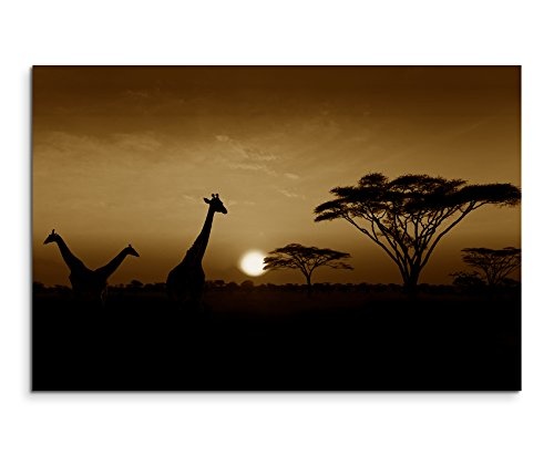 120x80cm Wandbild Fotoleinwand Bild in Sepia Sonnenuntergang Safari Giraffen Serengeti Nationalpark