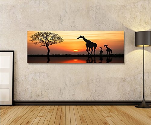 islandburner Bild Bilder auf Leinwand Giraffen Arfika...