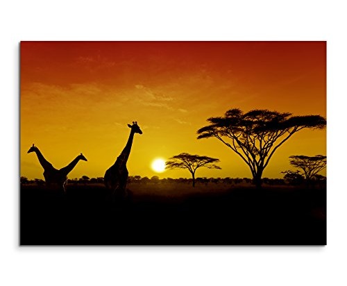 120x80cm Wandbild - Farbe Orange Gelb - Leinwandbild auf Keilrahmen in bester Qualität - Sonnenuntergang Safari Giraffen Serengeti Nationalpark