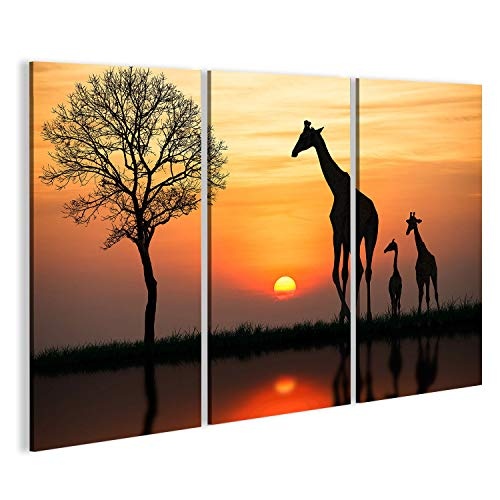 islandburner Bild Bilder auf Leinwand 3 teilig Giraffen...