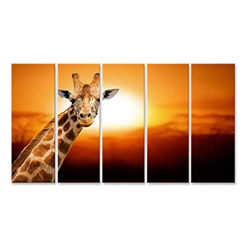 islandburner Bild Bilder auf Leinwand Giraffe Sonne Afrika Poster, Leinwandbild, Wandbilder