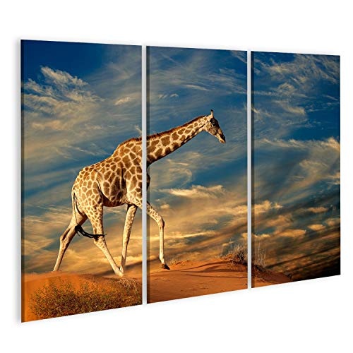 Bild Bilder auf Leinwand Giraffe (Giraffa camelopardalis) auf Einer Sanddüne mit Wolken Südafrika Wandbild Poster Leinwandbild QYU
