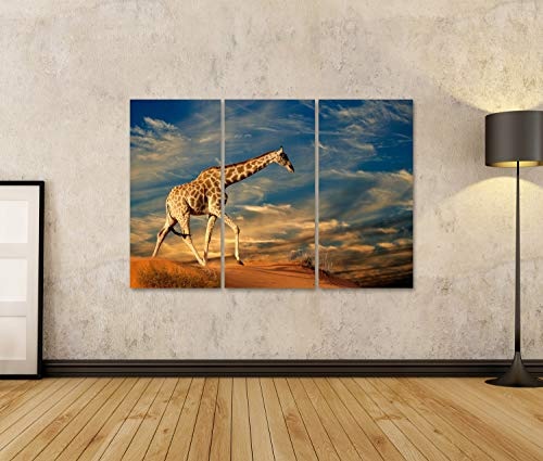 Bild Bilder auf Leinwand Giraffe (Giraffa camelopardalis) auf Einer Sanddüne mit Wolken Südafrika Wandbild Poster Leinwandbild QYU