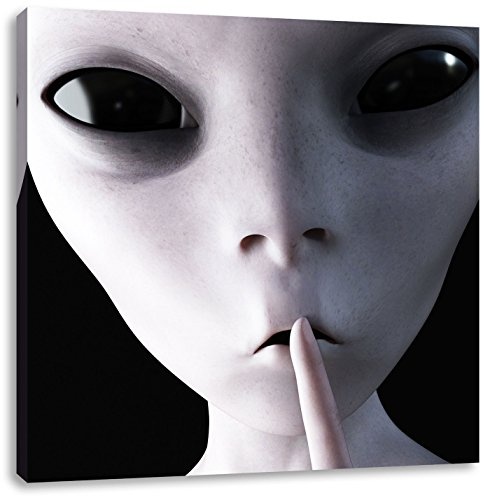 Alien - nicht reden B&W Detail, Format: 40x40 auf Leinwand, XXL riesige Bilder fertig gerahmt mit Keilrahmen, Kunstdruck auf Wandbild mit Rahmen, günstiger als Gemälde oder Ölbild, kein Poster oder Plakat