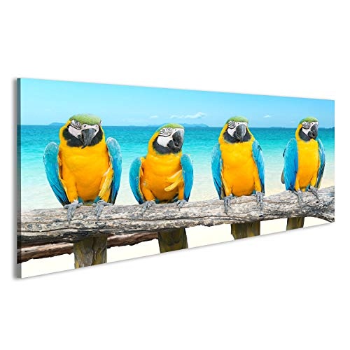 islandburner Bild auf Leinwand Wandbild Leinwandbild Bilder Poster Vier Papageien Blau und Gold Macaw tropischen schönen Strand und Meer Wandbild, Poster, Leinwandbild