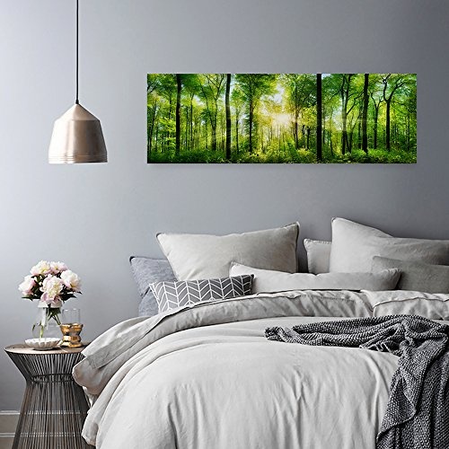 Feeby Frames, Leinwandbild, Bilder, Wand Bild, Wandbilder, Kunstdruck 40x100cm, Wald, Bäume, Sonne, Natur, Grün