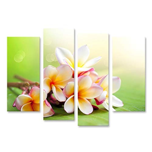 islandburner, Bild auf Leinwand Frangipani Tropical Spa Flower Plumeria Shallow DOF Wandbild Leinwandbild Kunstdruck Poster 130x80cm - 4 Teile