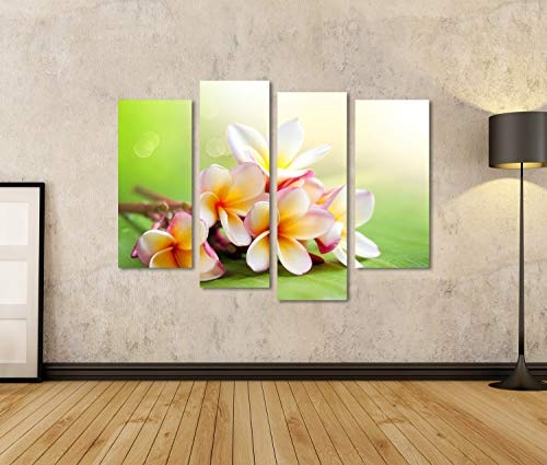 islandburner, Bild auf Leinwand Frangipani Tropical Spa Flower Plumeria Shallow DOF Wandbild Leinwandbild Kunstdruck Poster 130x80cm - 4 Teile