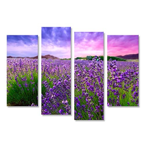 islandburner Bild Bilder auf Leinwand Lavendel Feld Büsche Provence Poster, Leinwandbild, Wandbilder