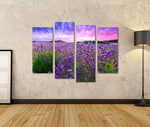 islandburner Bild Bilder auf Leinwand Lavendel Feld...