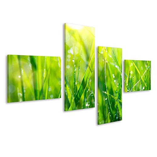 islandburner Bild Bilder auf Leinwand Gras. Frisches grünes Frühlingsgras mit Tau lässt Nahaufnahme Fallen Wandbild, Poster, Leinwandbild KXQ