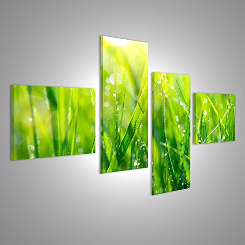 islandburner Bild Bilder auf Leinwand Gras. Frisches grünes Frühlingsgras mit Tau lässt Nahaufnahme Fallen Wandbild, Poster, Leinwandbild KXQ