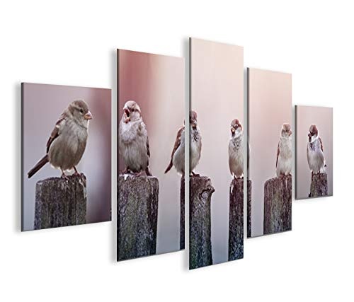 islandburner Bild Bilder auf Leinwand Birds Vögel Spatz auf Holzsteg MF XXL Poster Leinwandbild Wandbild Dekoartikel Wohnzimmer Marke